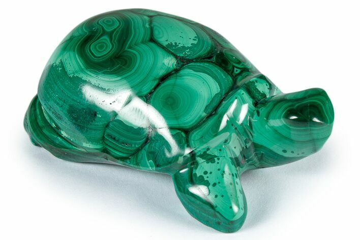 Flowery, Malachite Turtle Carving - DR Congo #337805